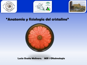 040 Anatomia y fisiologia del cristalino - LOM