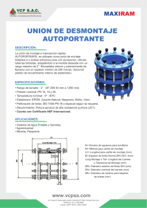 440253416-UNION-AUTOSOPORTANTE