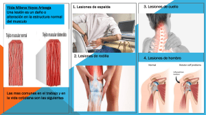 folleto lesiones mas comunes pdf