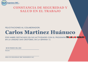 CONSTANCIA DE SEGURIDAD Y SALUD EN EL TRABAJO CARLOS MARTINEZ HUANUCO