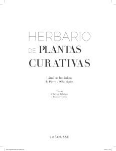 Herbario Plantas Curativas