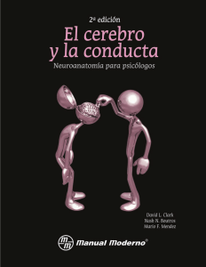 El cerebro y la conducta. Neuroanatomía para Psicólogos by David L. Clark, Nash N. Boutros,Mario F. Mendez (z-lib.org)