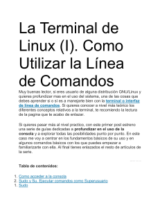 La Terminal de Linux