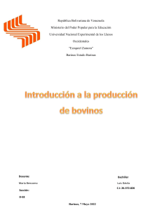 Introduccion a la producción Bovina 