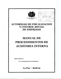 Manual de Procedimientos de Auditoria Interna