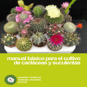 manual bsico para el cultivo de cactceas y suculentas asycs