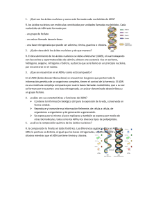 Ácidos Nucleicos: Preguntas y Respuestas sobre ADN y ARN