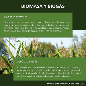 Biomasa y Biogás