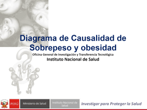 Diagrama de Causalidad de Sobrepeso y obesidad. Oficina General de Investigación y Transferencia Tecnológica Instituto Nacional de Salud - PDF Free Download