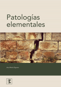 PATOLOGIAS-ELEMENTALES-ANA-ELGUERO-pdf (1)