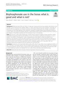 BIFOSFONATOS EN EQUINOS 220602 102355