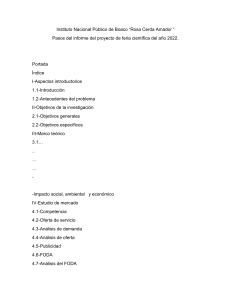 pasos del informe  del proyecto de feria cientifica  2022