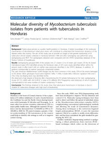 Diversidad molecular deMycobacterium tuberculosis de aislamientos en Honduras