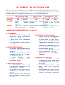 Los Sentidos y el Sistema Nervioso: &Oacute;rganos y Receptores