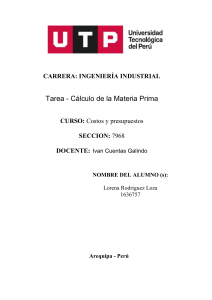 Tarea de C&aacute;lculo de Materia Prima para Costos y Presupuestos