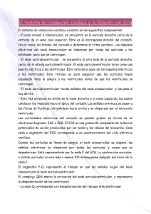 El Sistema de Conducci&oacute;n Card&iacute;aca y la Relaci&oacute;n con ECG
