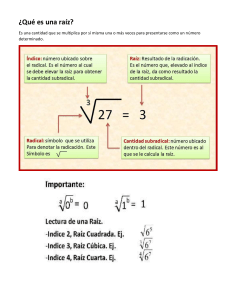 &iquest;Qu&eacute; es una ra&iacute;z? Conceptos y propiedades matem&aacute;ticas