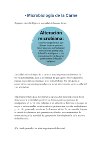 Microbiolog&iacute;a e Inocuidad de la Carne Fresca