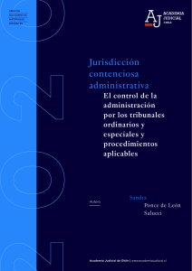 04 JURISDICCION CONTENCIOSA  Pub6