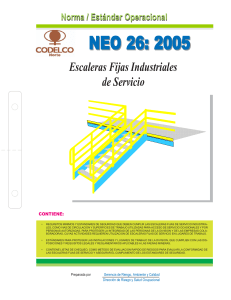 NEO26 ESCALERAS INDUSTRIALES FIJAS DE SERVICIO CODELCO