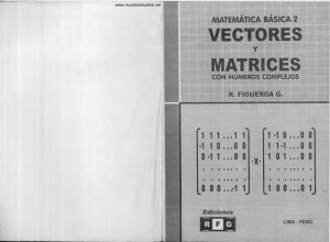 Matematica Basica 2 Vectores y Matrices - Ricardo Figueroa. G.