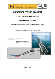 pdf-informe-ensayo-de-flujo-laminar-y-turbulento-1 compress (1)
