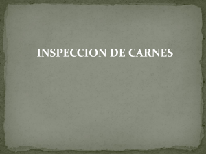 2 INSPECCION DE CARNES