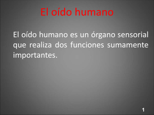 Funcionamiento del oido humano