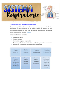 sistema-respiratorio-histologia compress