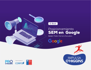 Posicionamiento SEM en Google