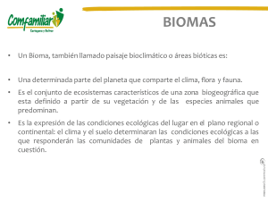 Biomas (Material de estudio)- grado 8