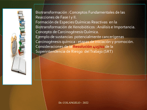 TOXICOLOGIA 2 (1)