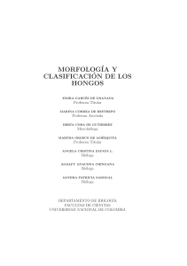 Morfología y Clasificación de los Hongos