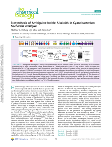 Biosynthesis of Ambiguine Indole Alkaloids in Cyanobacterium Fischerella ambigua