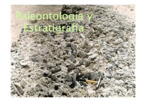 paleontologia y estratigrafia 1