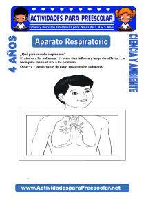 Aparato-Respiratorio-para-niños-de-4-años