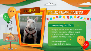 Bruno de Celebracion¡