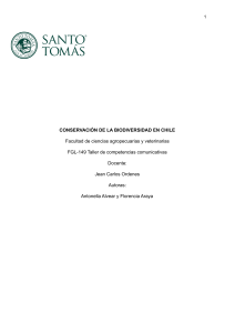 Competencias comunicativas FLG-49 (1) (1)