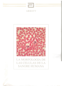Atlas de Hematologia Mardo