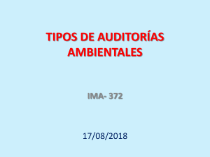 tipos de auditorias ambientales 