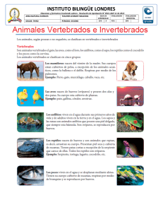 3 GUIA ANIMALES VERTEBRADOS E INVERTEBRADOS