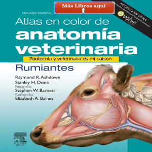 Atlas en color de anatomia veterinaria R