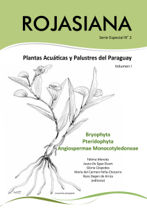 Plantas Acuaticas y Palustres del Paraguay