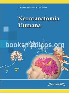 Neuroanatoma humana Porrero booksmedicos.org