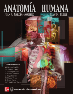 Anatomia Humana Garcia Porrero booksmedicos.org