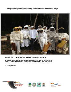 Manual-de-Apicultura-avanzada-y-diversificación-productiva-de-apiarios