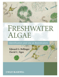 A Key to the More Frequently Occurring Freshwater Algae