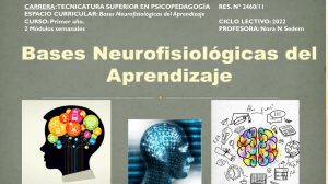 UNIDAD I Bases Neurofisiológicas del Aprendizaje