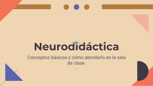 Neurodidáctica