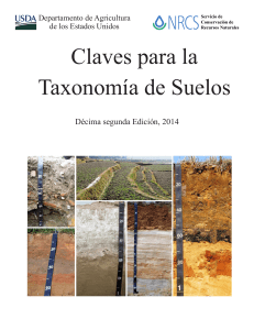 Claves para la taxonomia en suelos